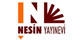 Nesin Yayınevi