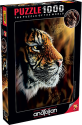 Vahşi Kaplan/ Wild Tiger - 3