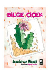 Bilgi Yayınevi - Bilgi Yayınevi Bilge Çiçek