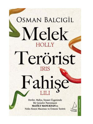 Destek Yayınları Melek Terörist Fahişe - 1