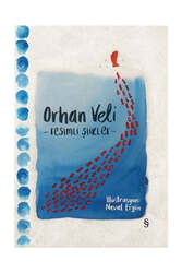 Everest Yayınları Resimli Şiirler-Bez Ciltli - Everest Yayınları