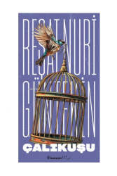 İnkılap Kitabevi Çalıkuşu - İnkılap Kitabevi