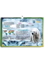 KR Akademi - KR Akademi AYT Coğrafya Poster Notlar