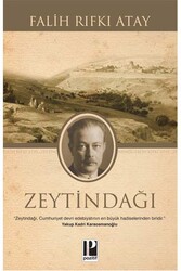 Zeytindağı Pozitif Yayınları - Pozitif Yayınları