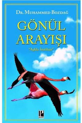 Gönül Arayışı Pozitif Yayınları - 1