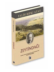 Pozitif Yayıncılık Zeytindağı - Özel Baskı - Pozitif Yayınları