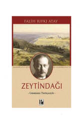 Pozitif Yayınları Zeytindağı - Günümüz Türkçesiyle - Pozitif Yayınları