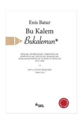 Sel Yayıncılık Bu kalem Bukalemun - 1