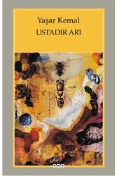 Ustadır Arı Yapı Kredi Yayınları - Yapı Kredi Yayınları