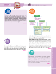Yargı Yayınları MEB-AGS Tüm Dersler Tamamı Çözümlü Çıkmış ve İkiz Sorular - 4